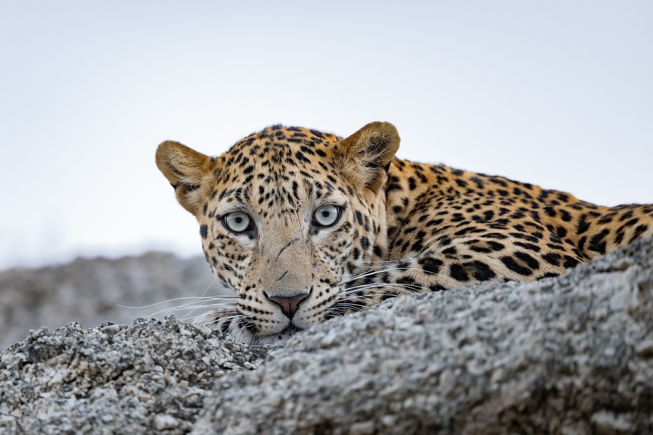 495804055 18498512239062220 6173199624129213181 n